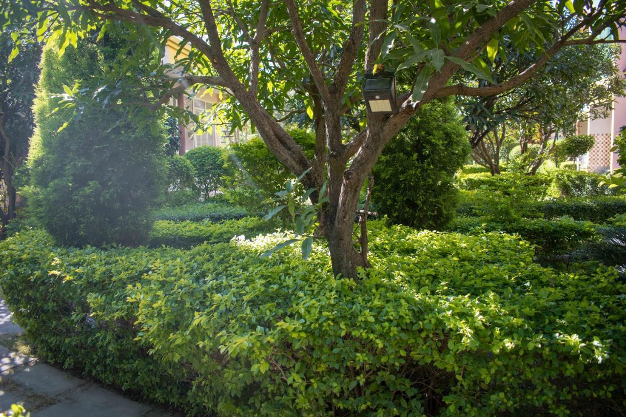 Mvt Guesthouse & Restaurant Rishīkesh Dış mekan fotoğraf
