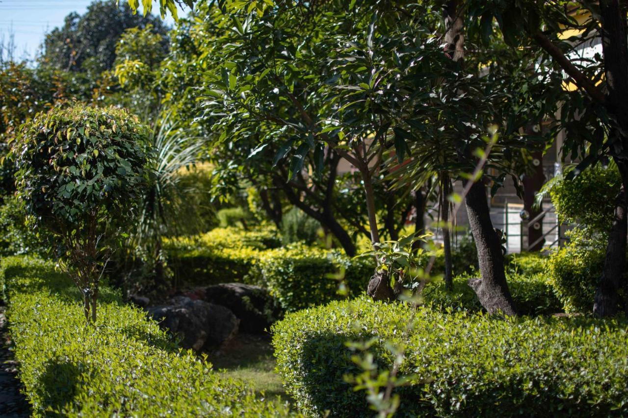 Mvt Guesthouse & Restaurant Rishīkesh Dış mekan fotoğraf